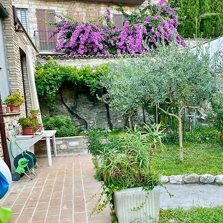 Giardino Tra Le Mura Homestay *