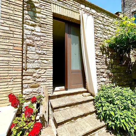 Giardino Tra Le Mura